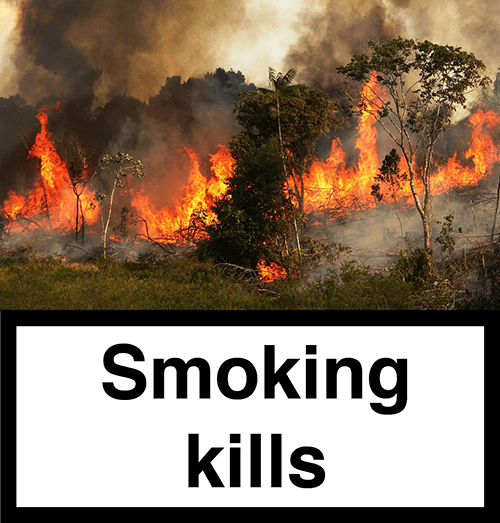 SmokingKills